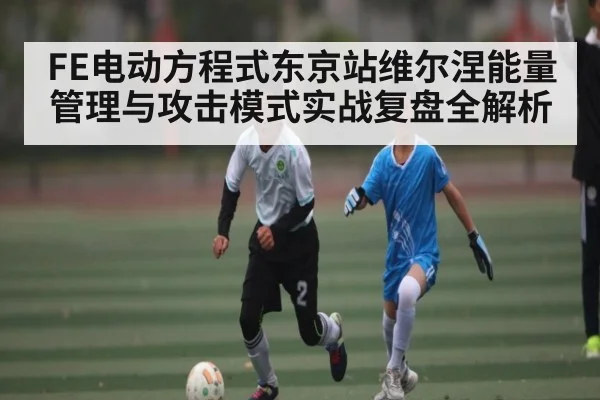 FE电动方程式东京站维尔涅能量管理与攻击模式实战复盘全解析 | c7c7